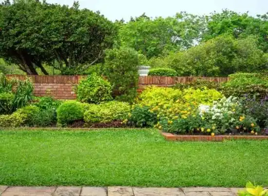 landscaping services Broad Creek